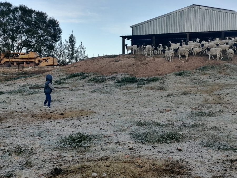 3 Bedroom Property for Sale in Joubertina Eastern Cape